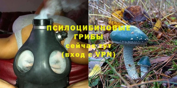 бошки Абдулино