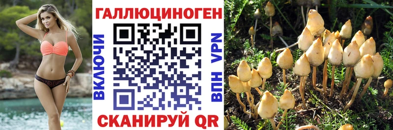 Псилоцибиновые грибы Cubensis  Хасавюрт 